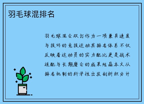 羽毛球混排名